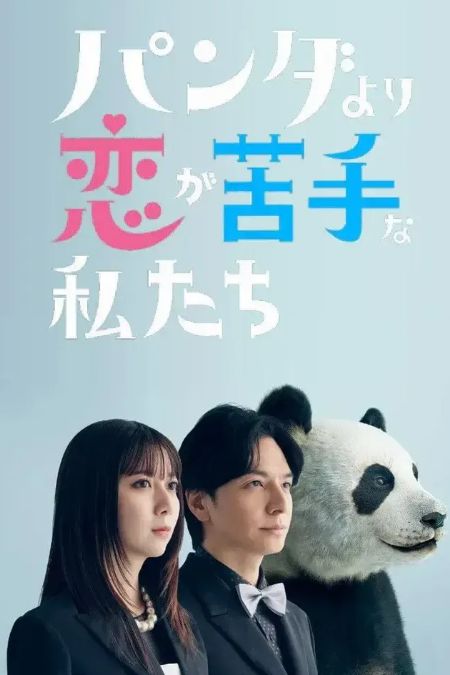 比熊猫更不擅长恋爱的我们